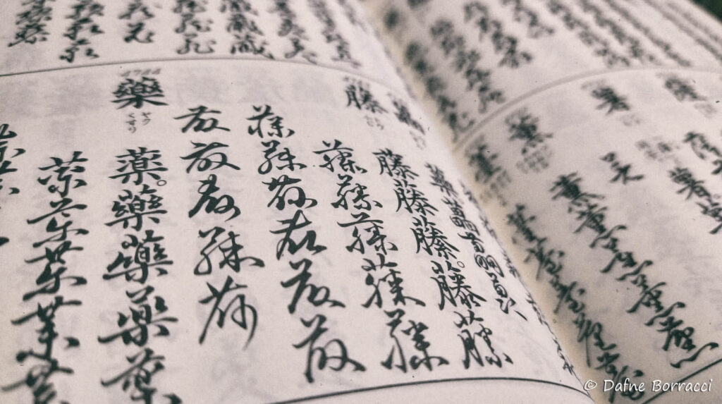 Pagina di un libro scritto in kanji giapponesi 