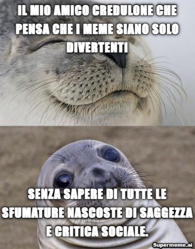 meme della foca, prima l'amico credulone pensa che i meme siano solo divertenti senza sapere delle sfumature di saggezza e critica sociale